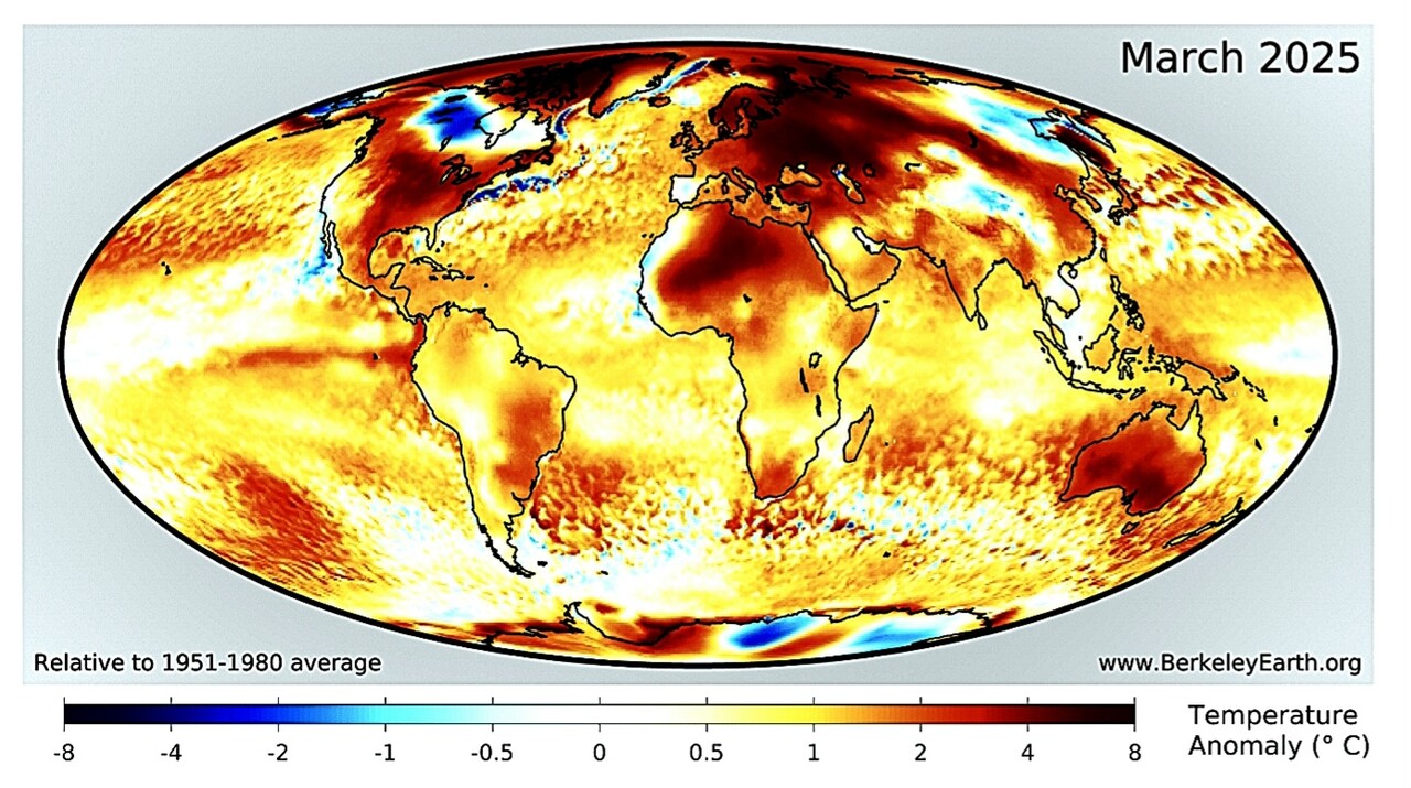 자료: 버클리어스