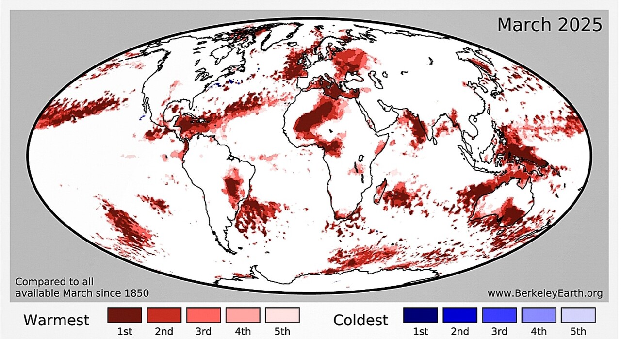 자료: 버클리어스