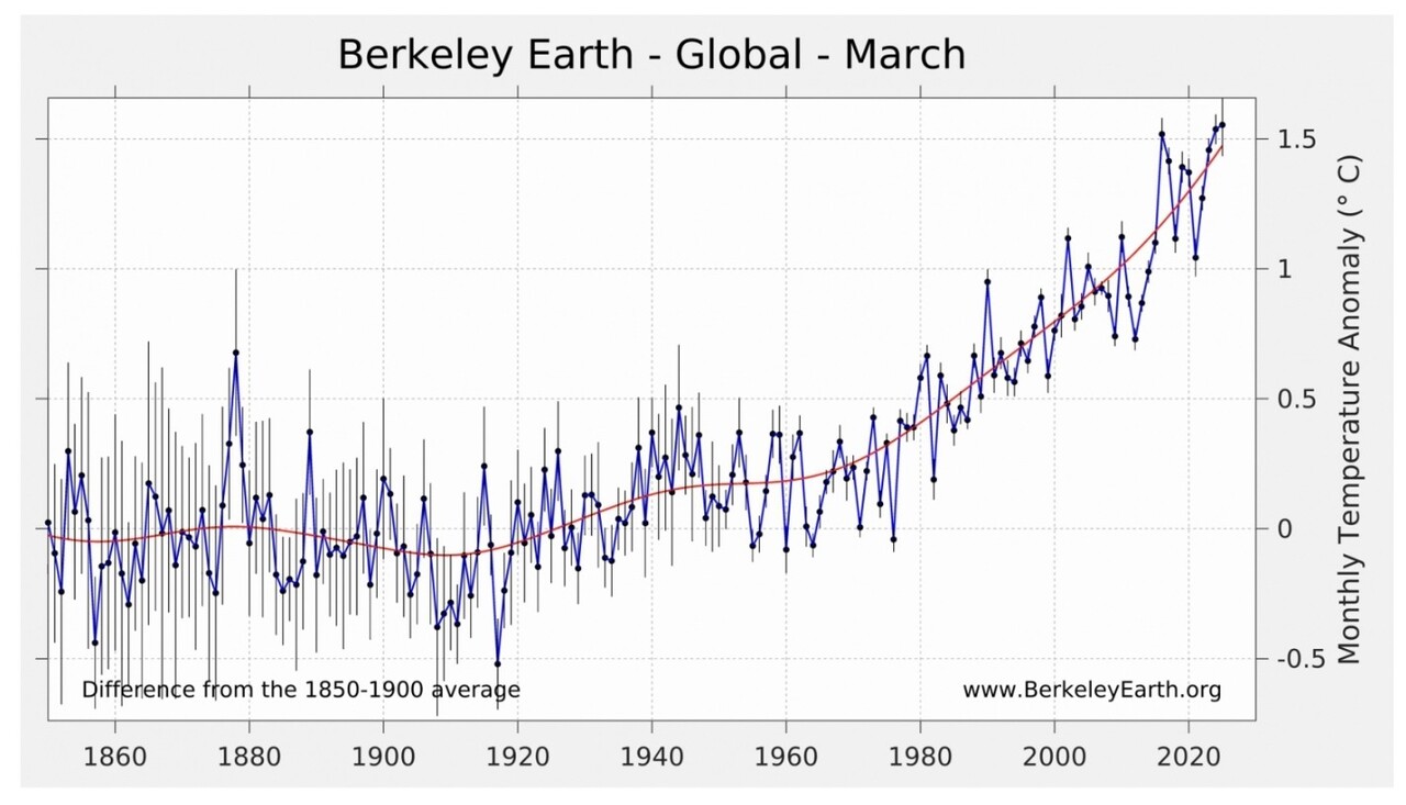 자료: 버클리어스