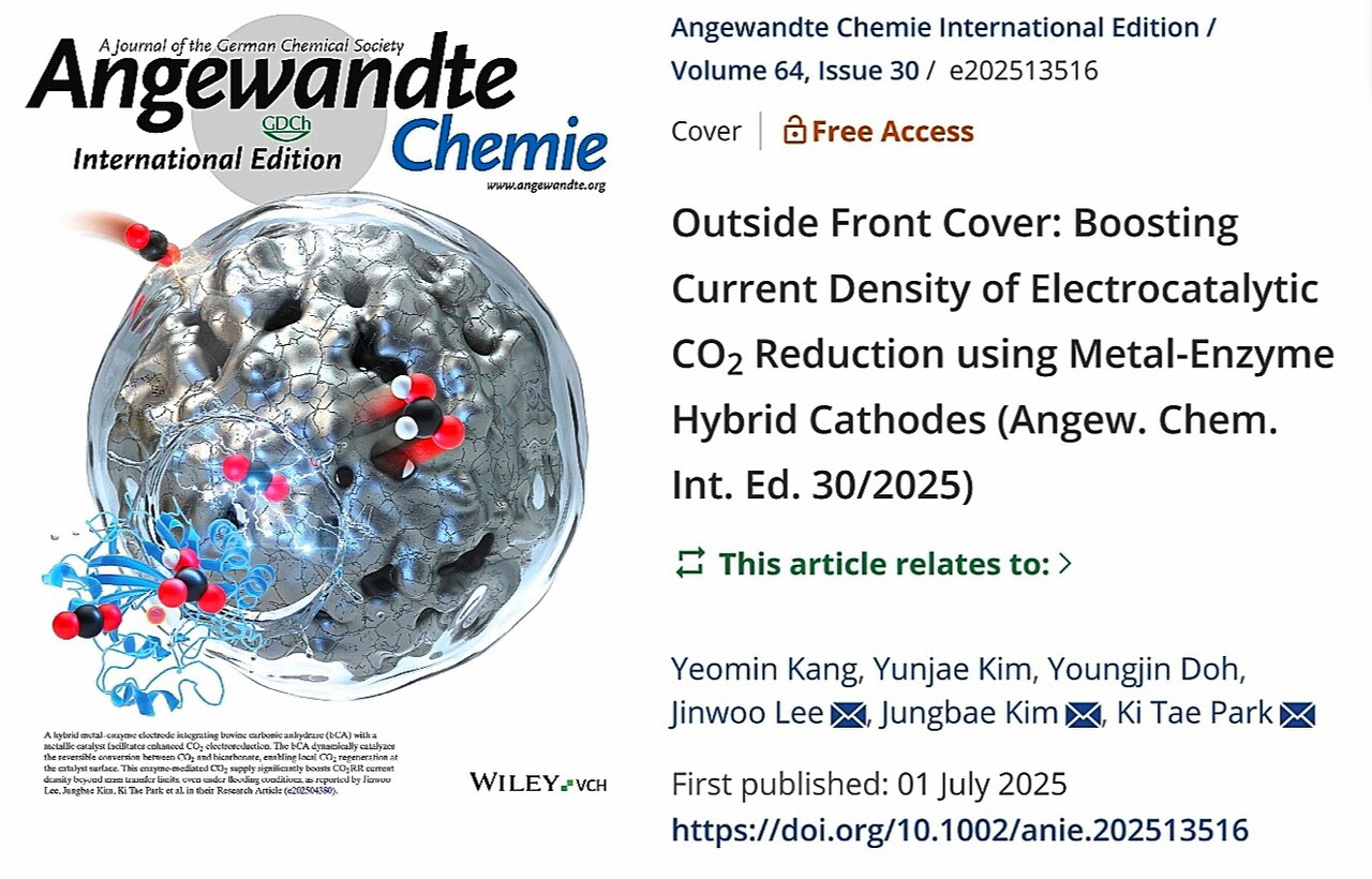 자료: Angewandte Chemie